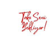 Foodking - Fast Food Restaurant WordPress Theme